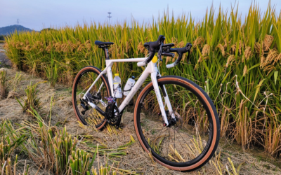Gravel Bike VS Road Bike: What Are The differences