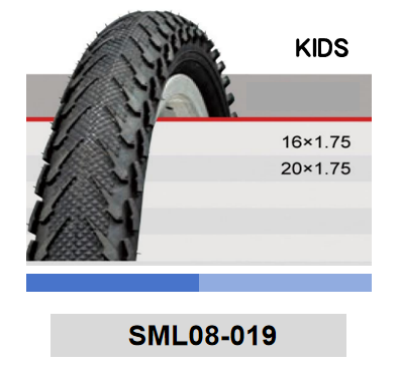 SML08-019