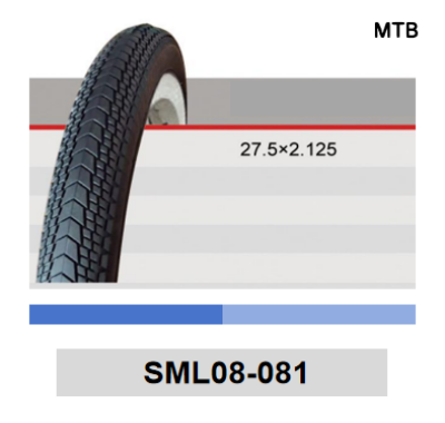 SML08-081