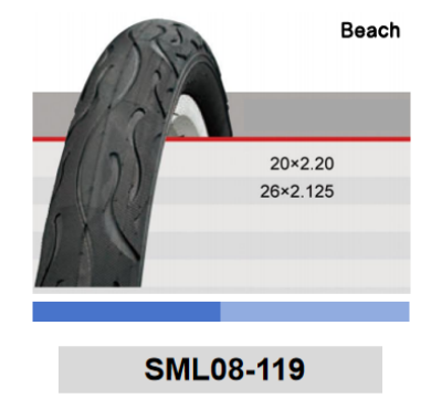 SML08-119